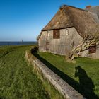 Hallig-Foto