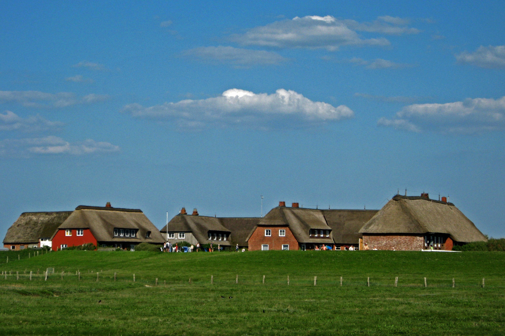 Hallig Gröde