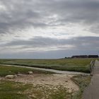 Hallig Gröde