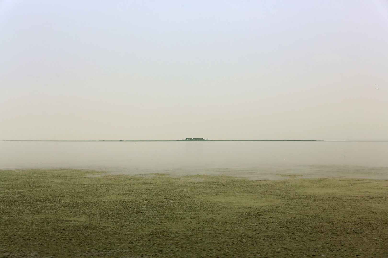 Hallig Gröde Fernsicht