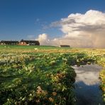 Hallig Gröde - Morgenlicht