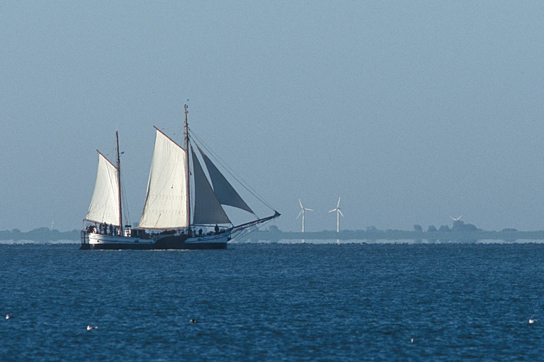 Hallig Gröde - Segelschiff in Sicht