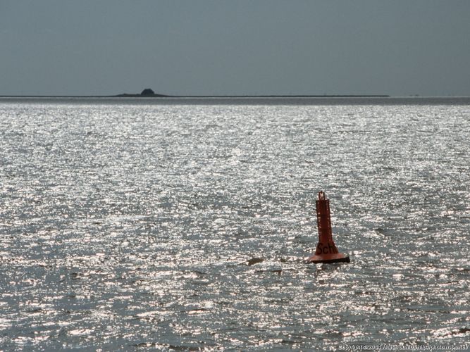 Hallig Habel in Sicht