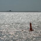 Hallig Habel in Sicht