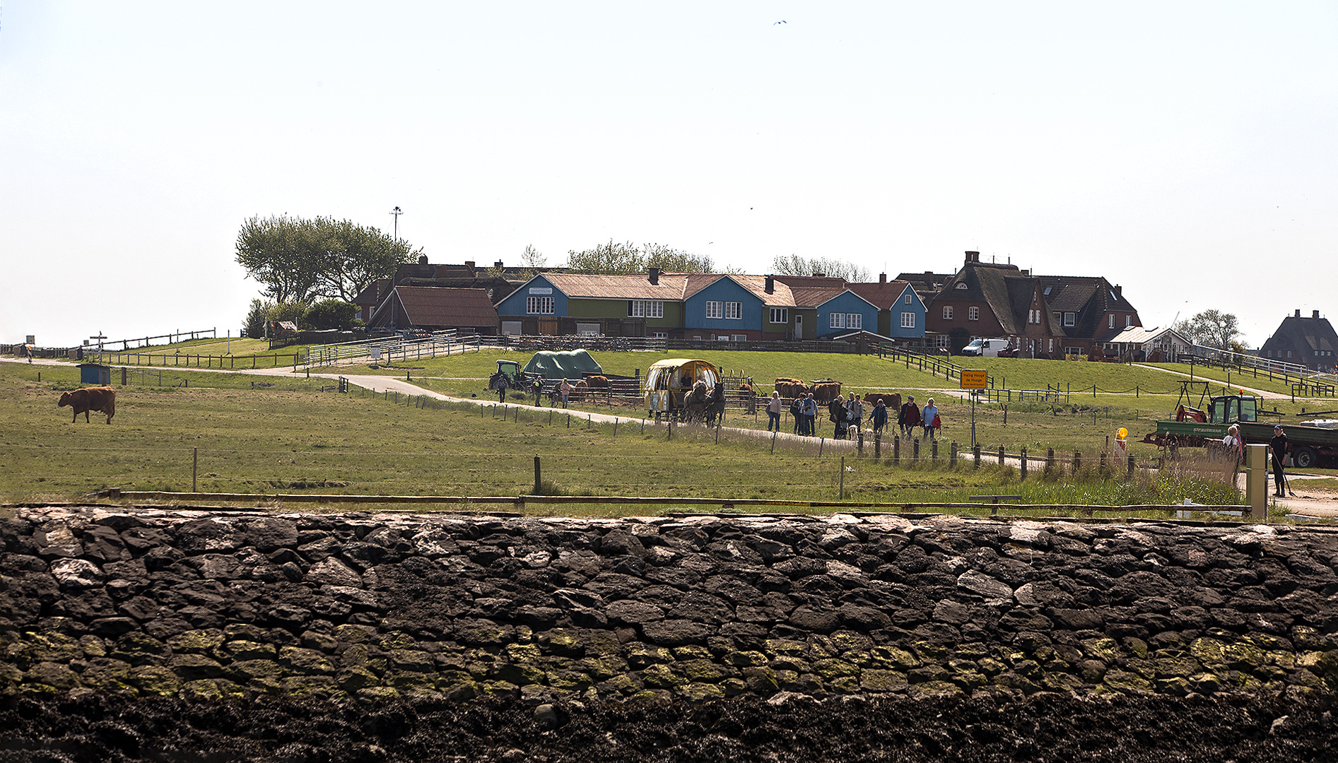 Hallig Hooge