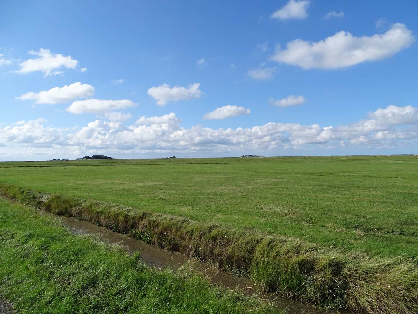 Hallig Hooge