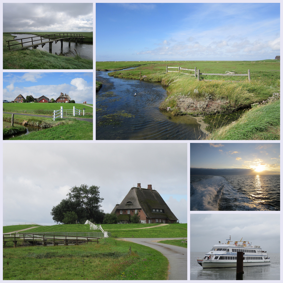 Hallig-Hooge