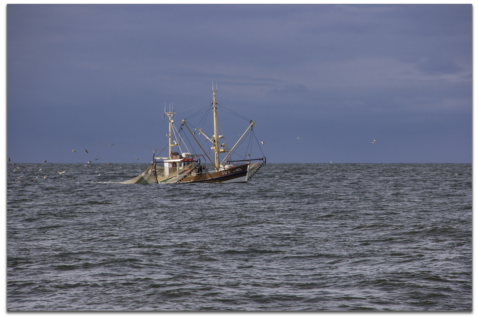 Hallig HOOGE #2