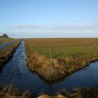 Hallig Hooge - 2012 (1)