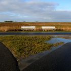 Hallig Hooge - 2012 (2)