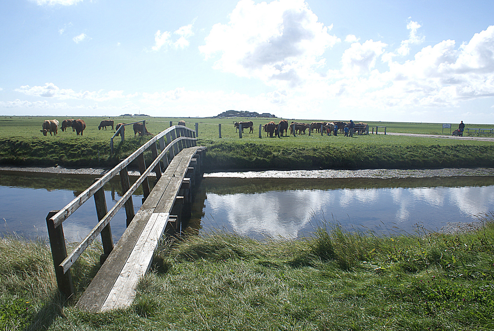 Hallig Hooge 2015 - "Der Stock"