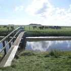 Hallig Hooge 2015 - "Der Stock"