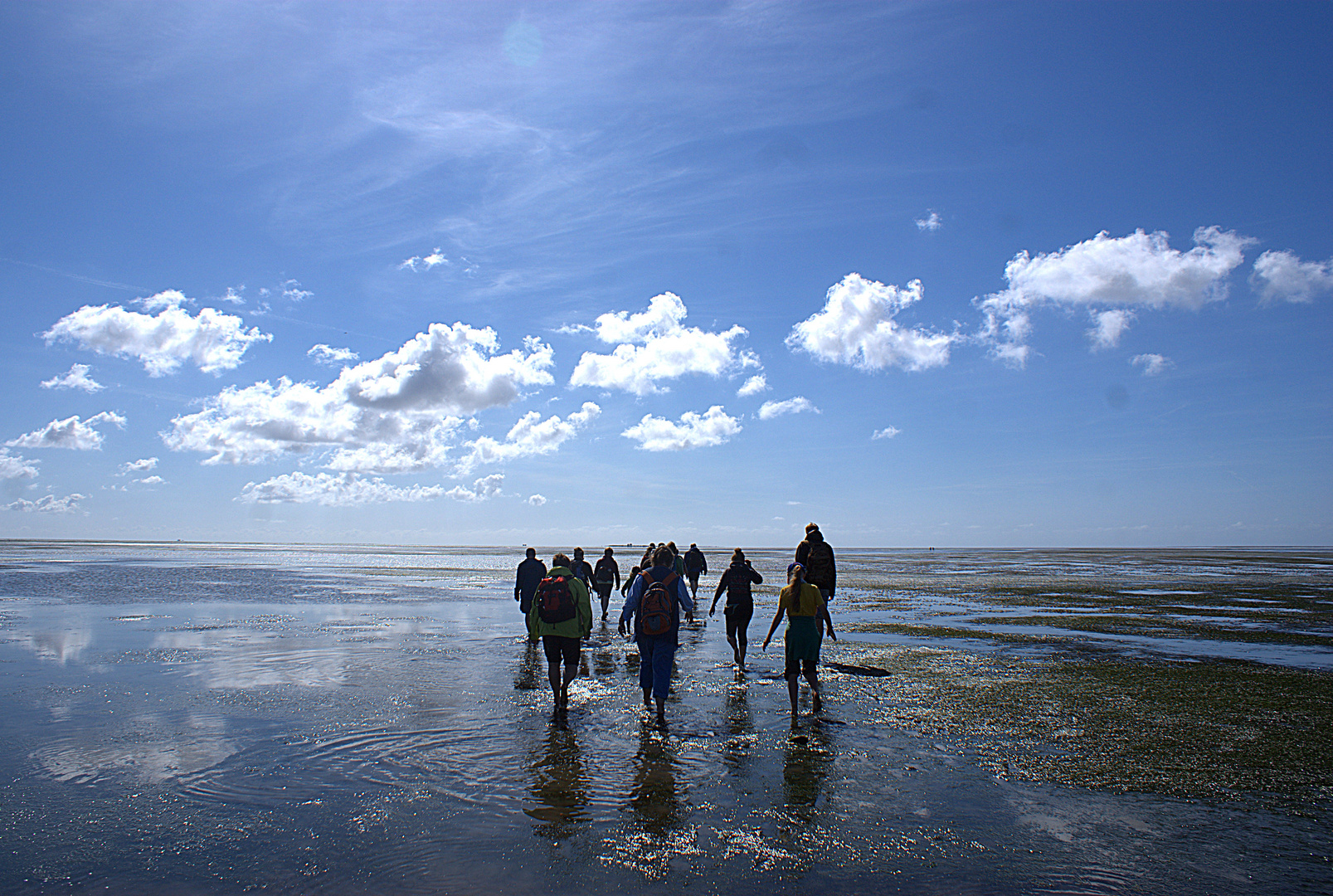 Hallig Hooge 2015 - Wattwanderung zur Vogelhallig Norderoog