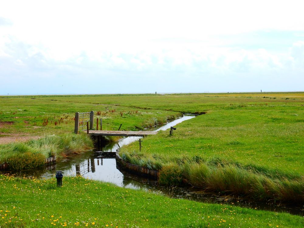 Hallig Hooge