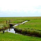 Hallig Hooge