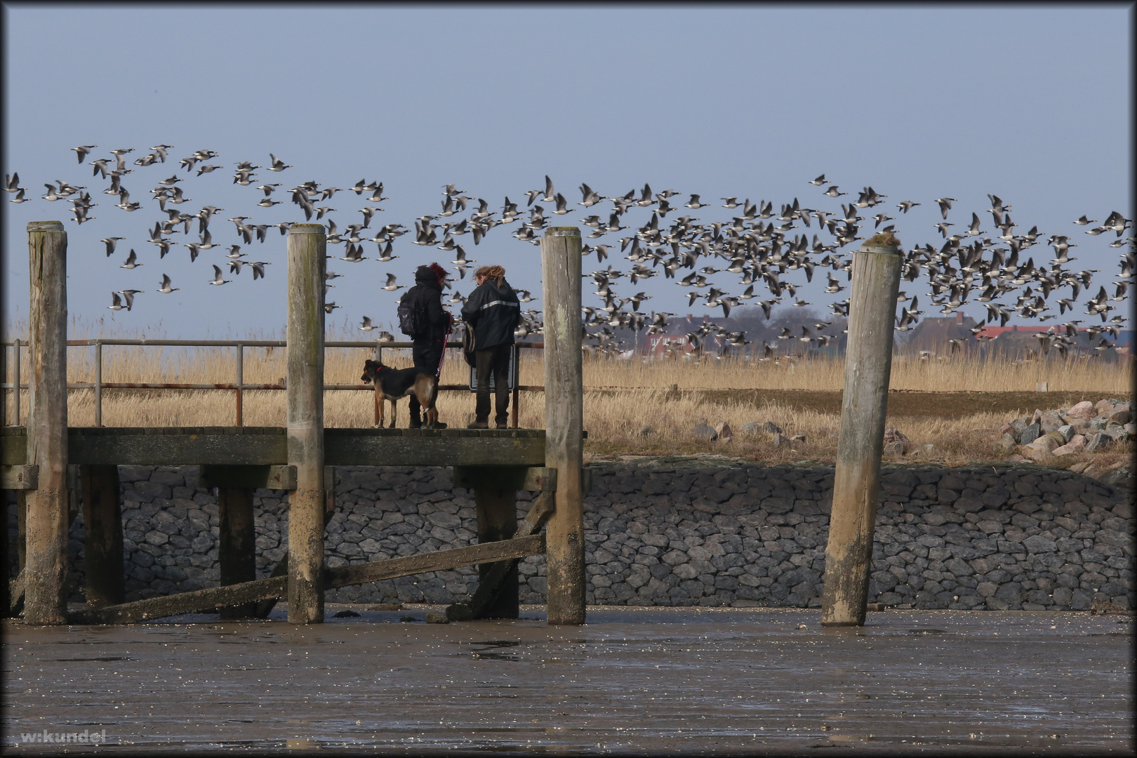 Hallig Hooge