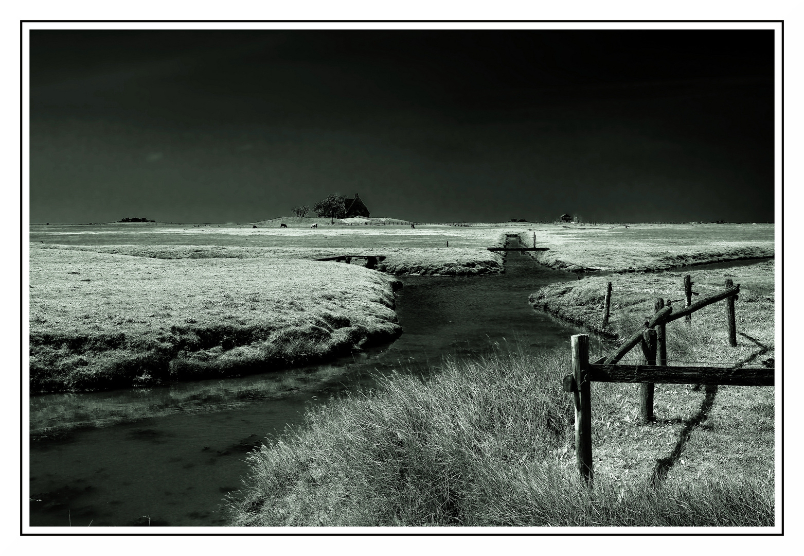 hallig hooge