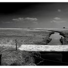 hallig hooge