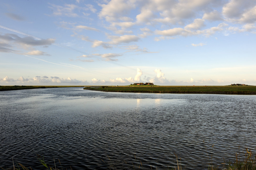 Hallig Hooge