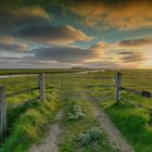 Hallig Hooge