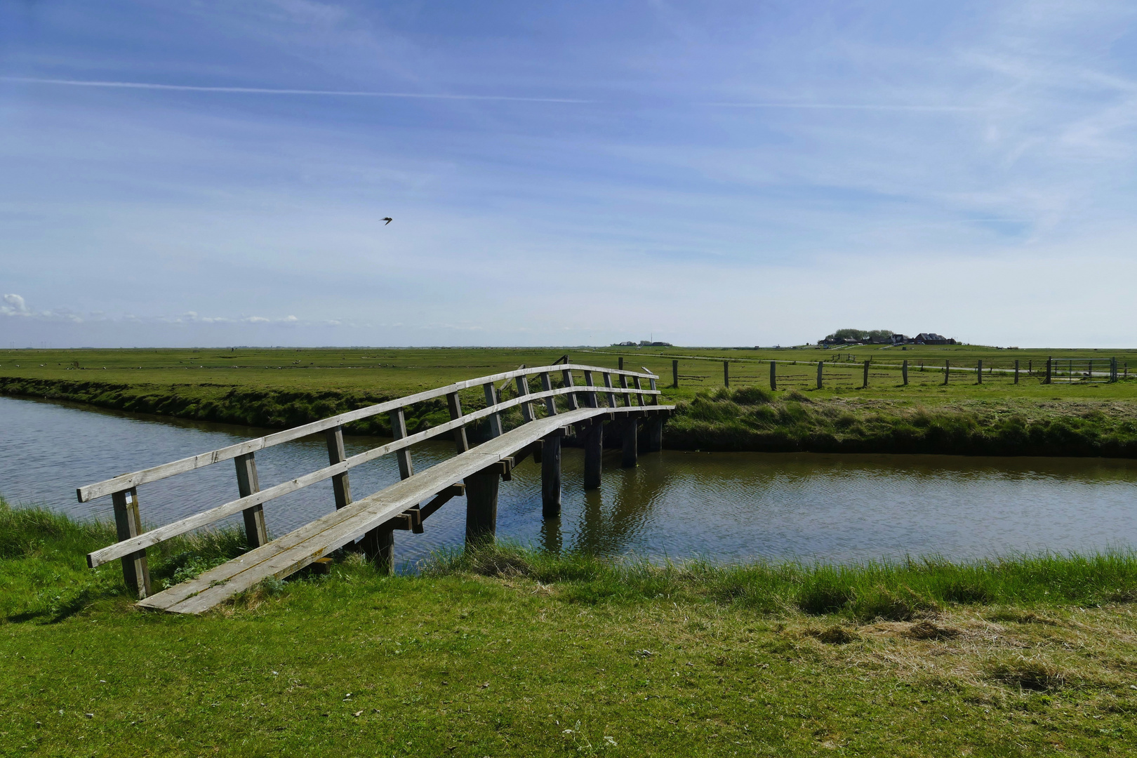 Hallig Hooge