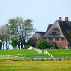 Hallig Hooge