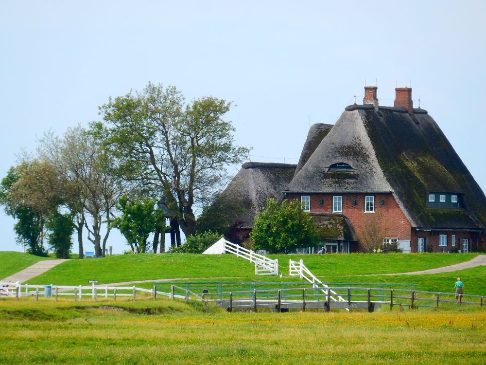 Hallig Hooge