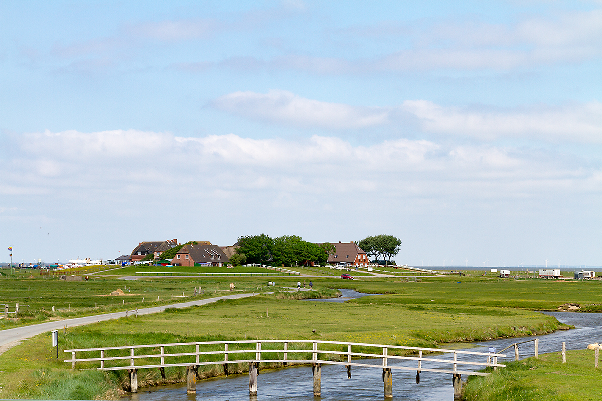 Hallig Hooge