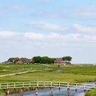 Hallig Hooge