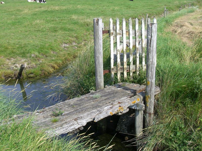 Hallig Hooge