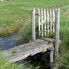 Hallig Hooge