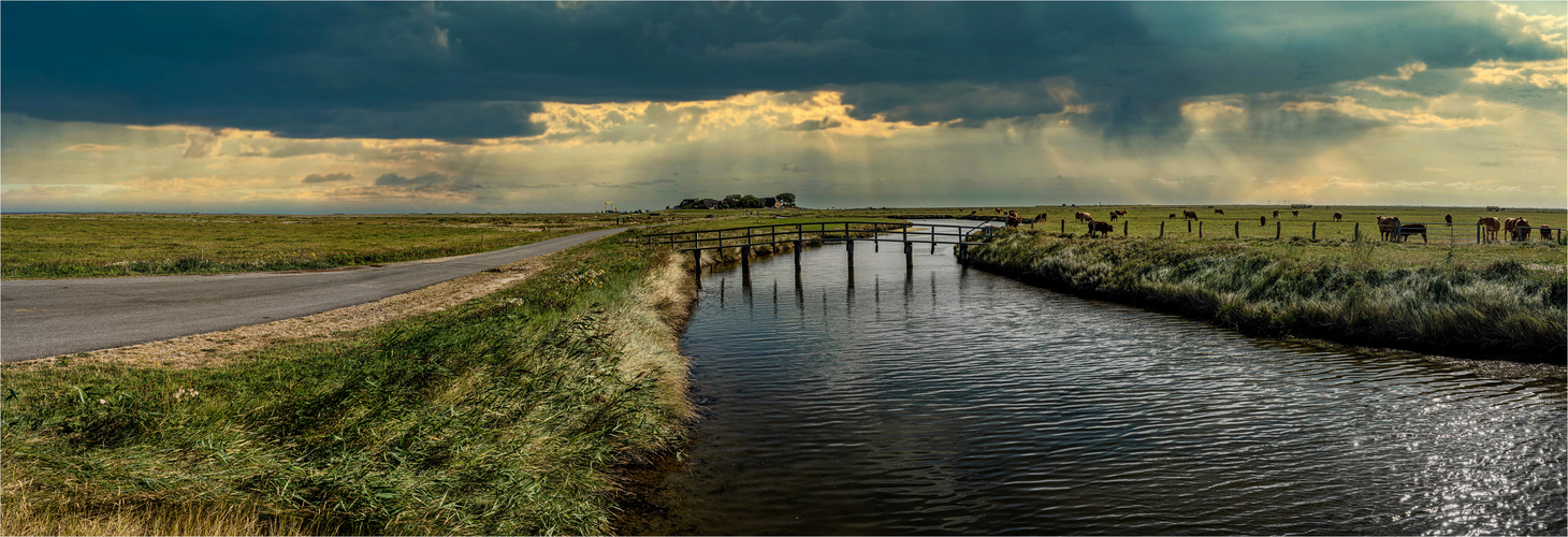 HALLIG HOOGE 