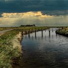 HALLIG HOOGE 