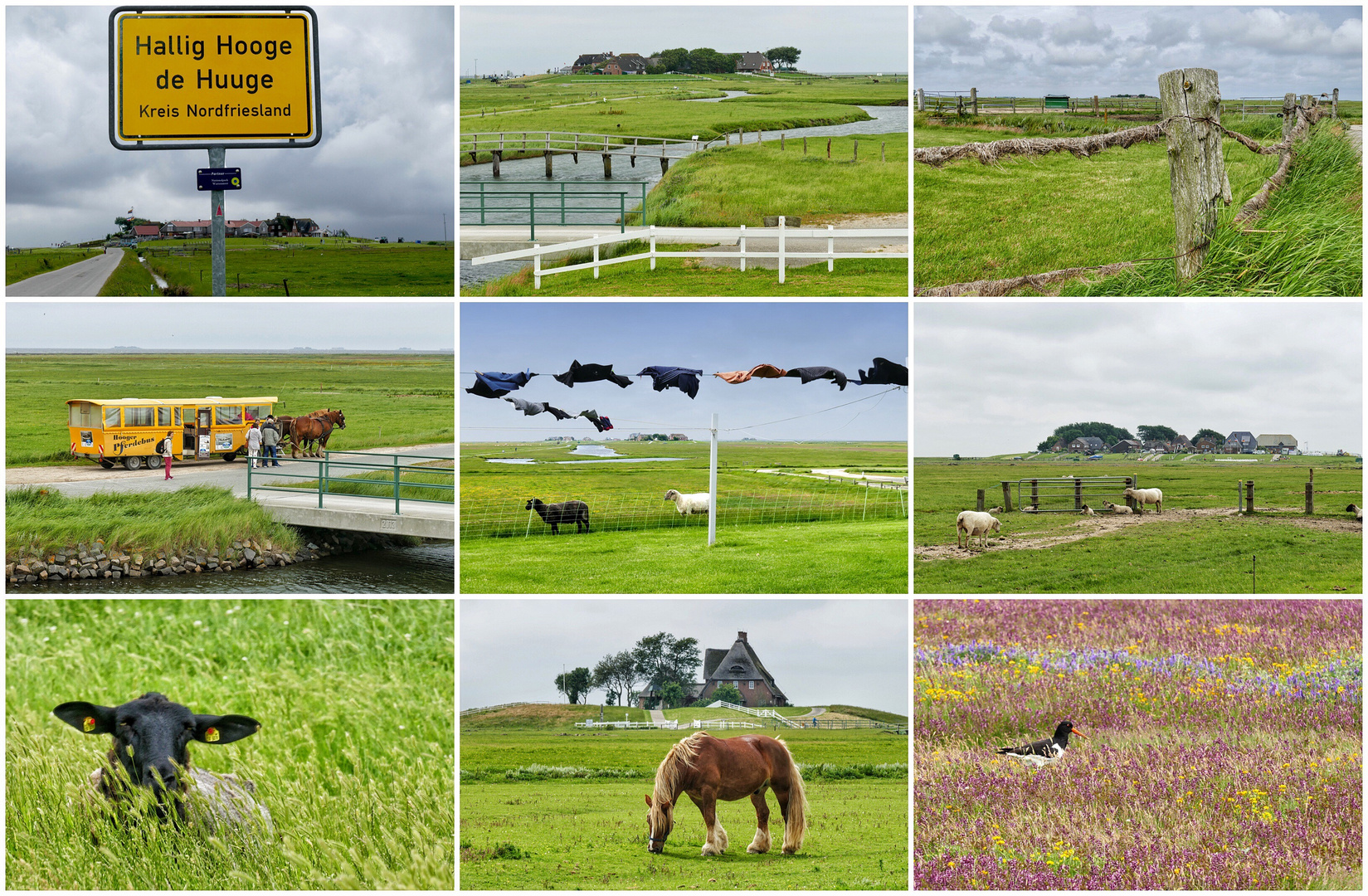 HALLIG HOOGE