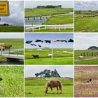 HALLIG HOOGE