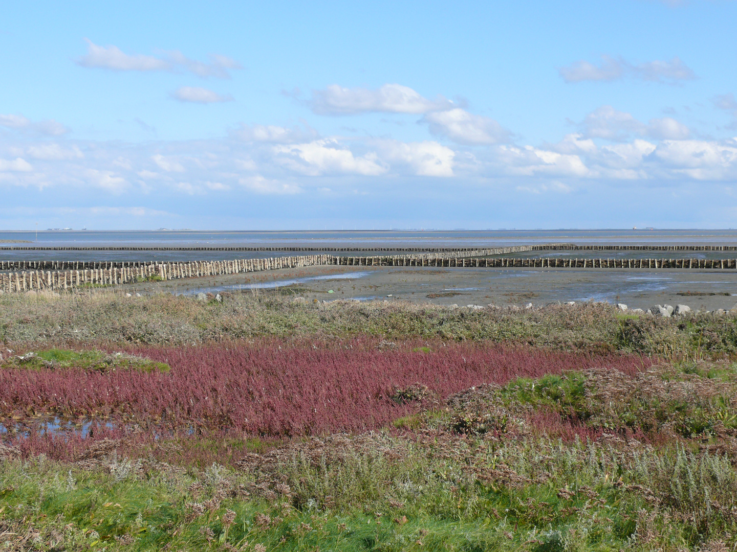 Hallig Hooge