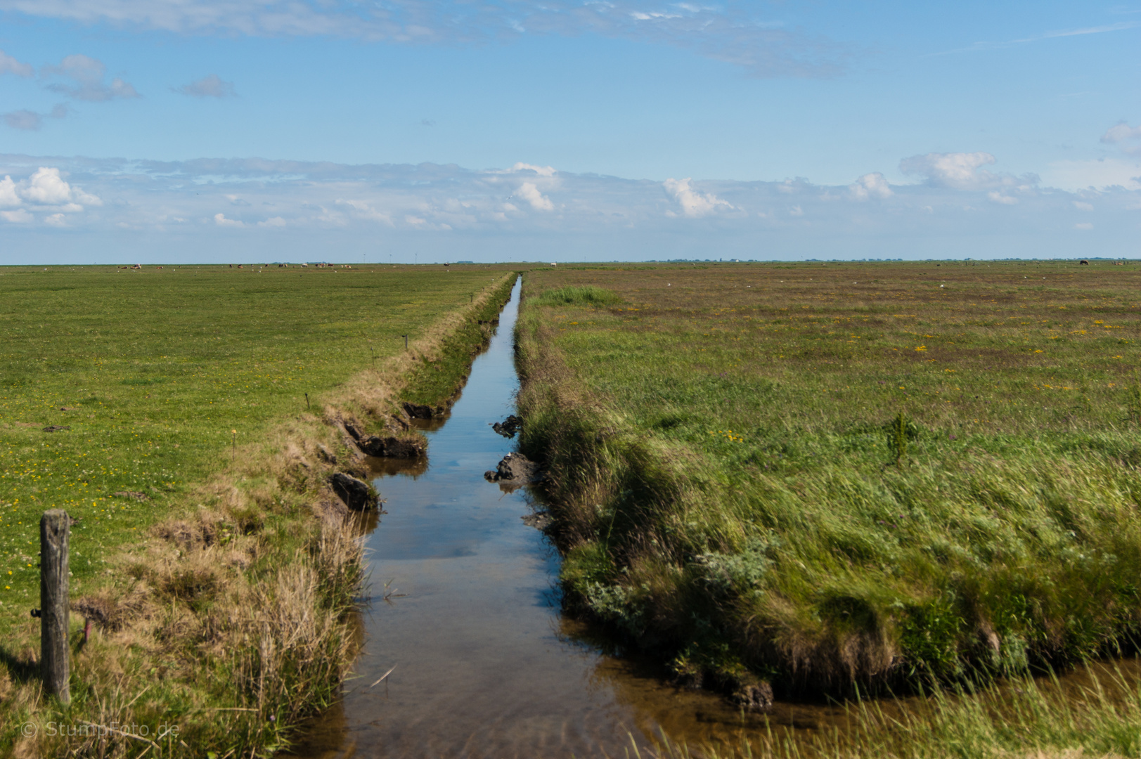 Hallig Hooge