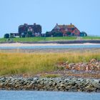 Hallig Hooge