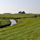 Hallig Hooge