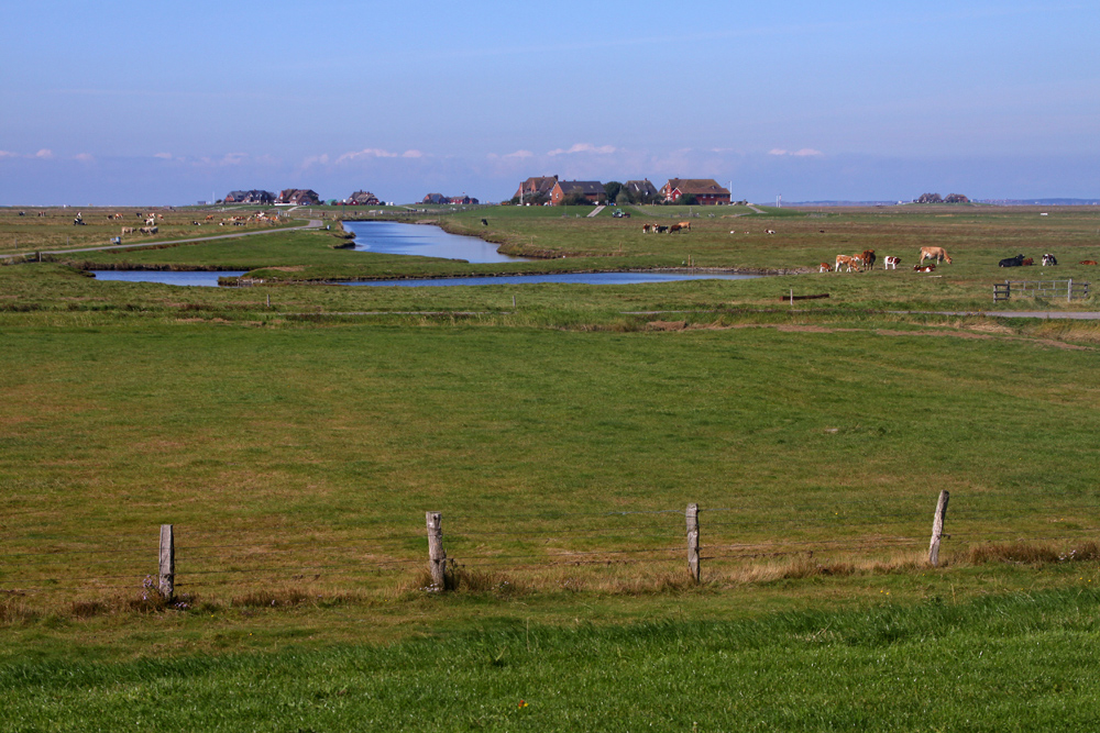 Hallig Hooge