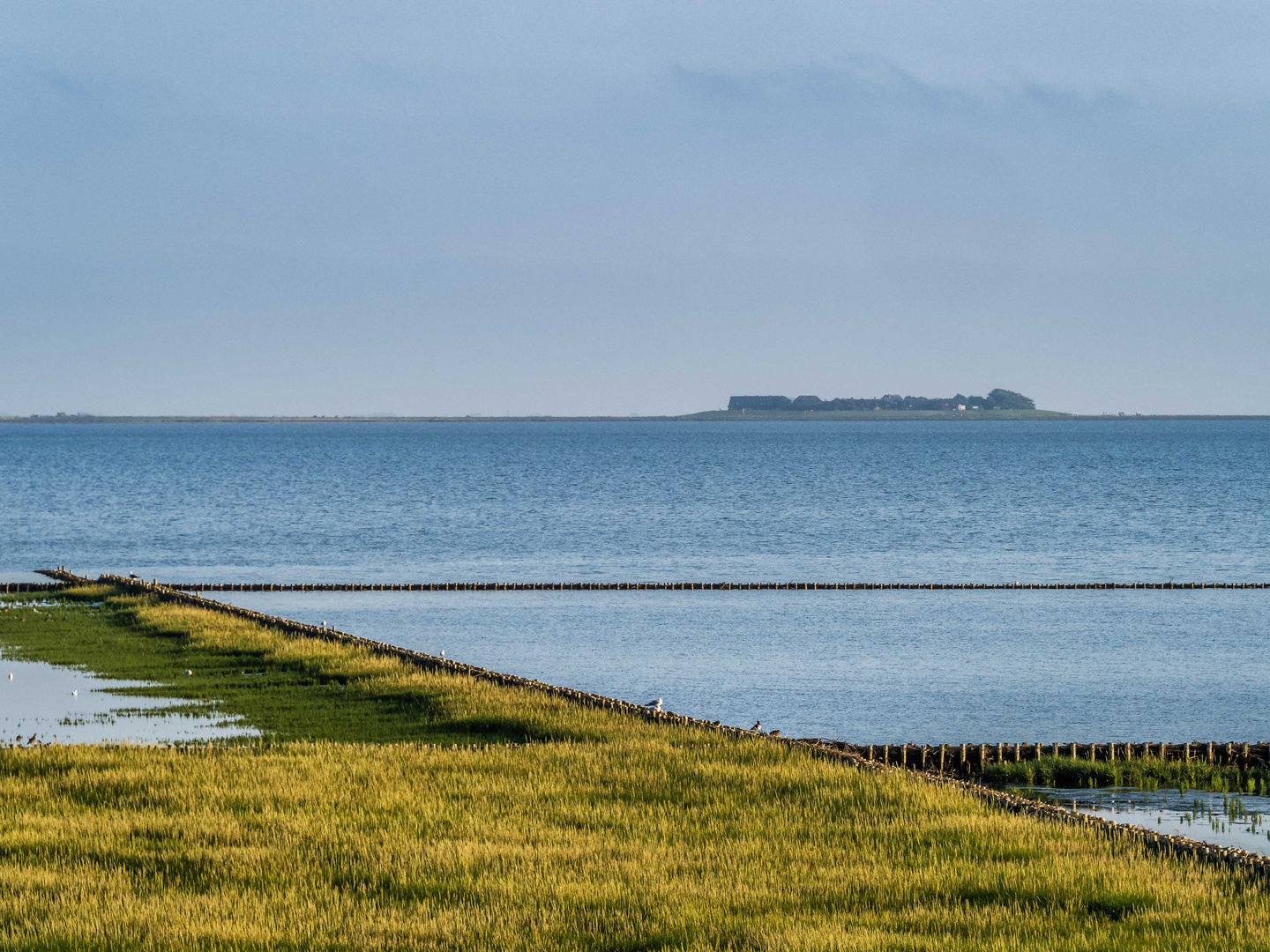 Hallig Hooge bei Hochwasser