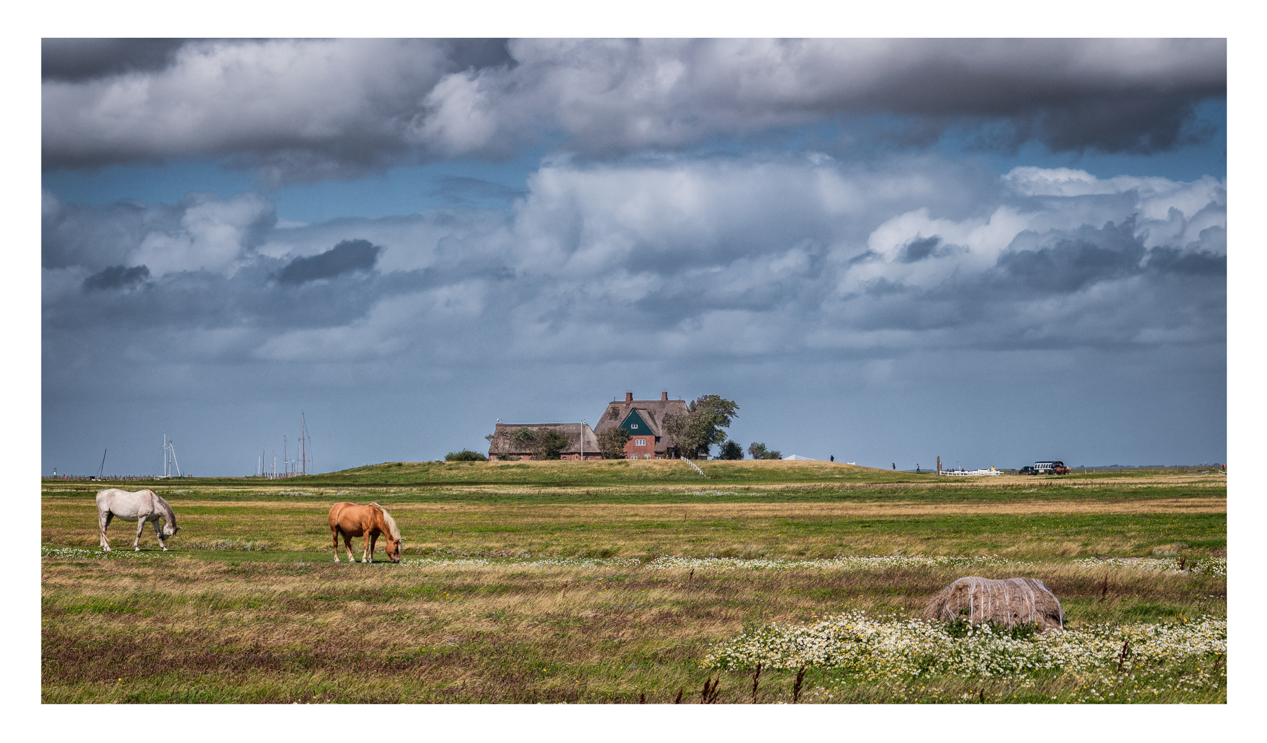 Hallig Hooge - Blick auf die Kirchwarft!