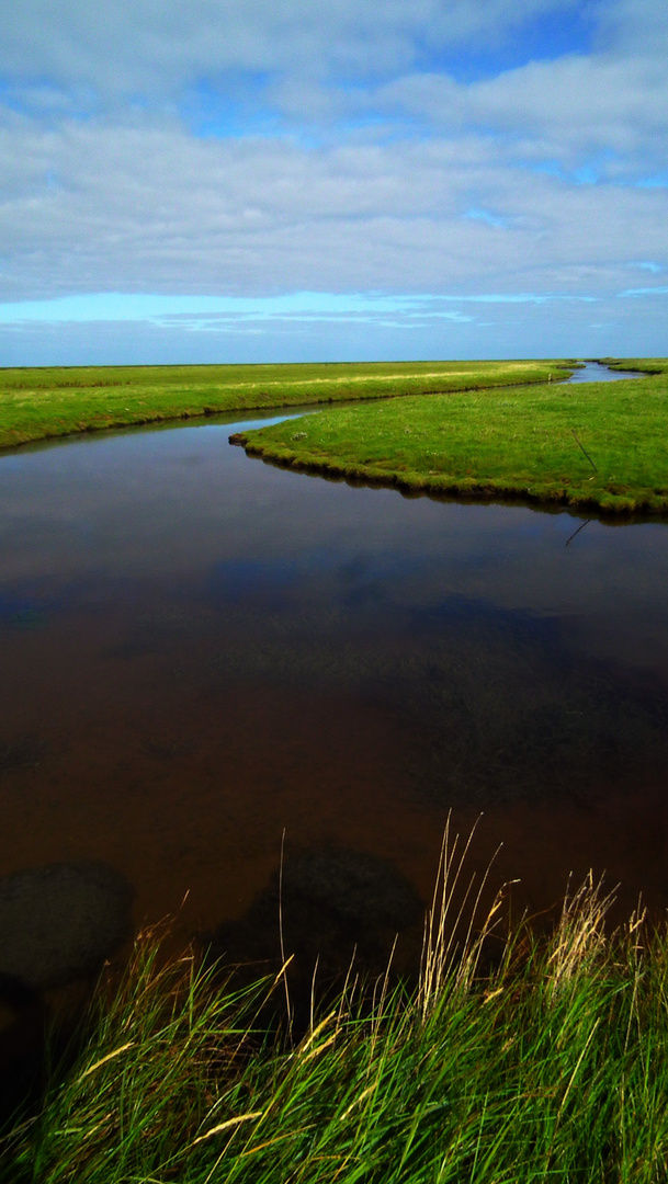 Hallig Hooge