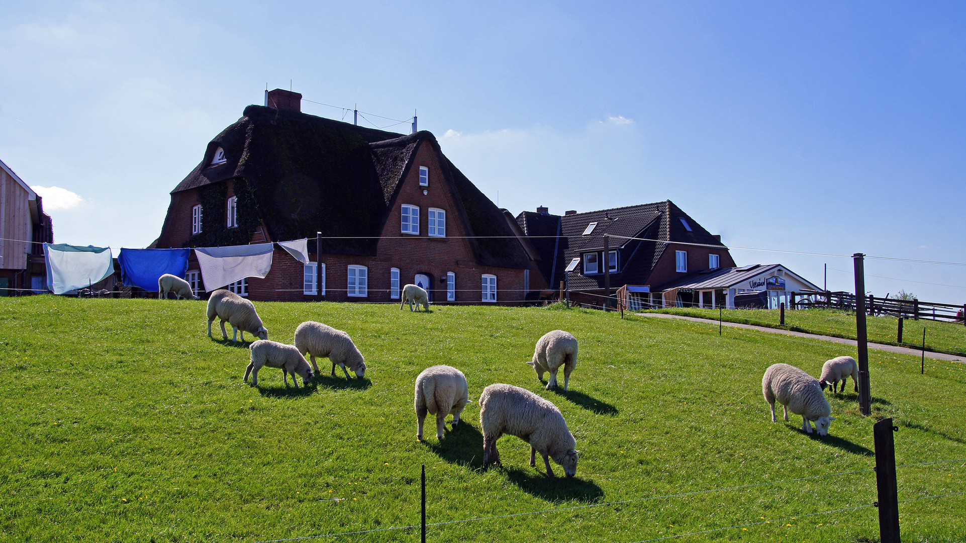 Hallig Hooge