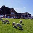 Hallig Hooge