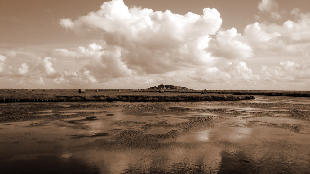 Hallig Hooge