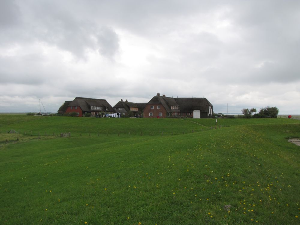 Hallig Hooge