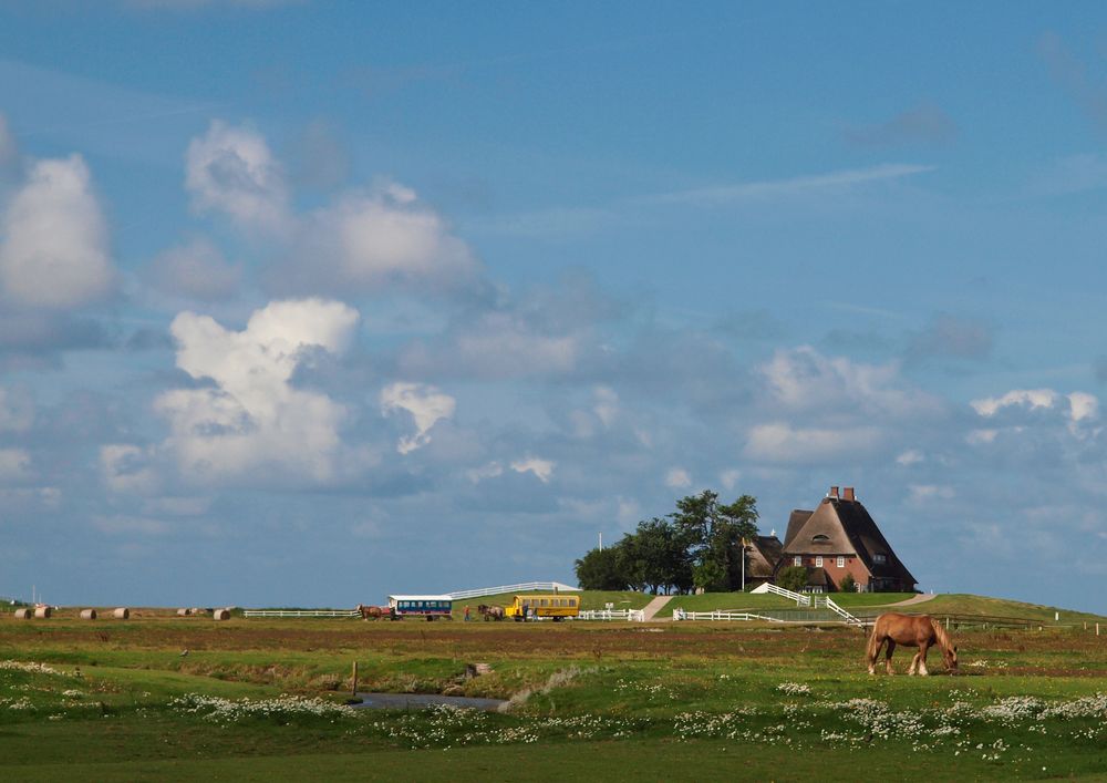 Hallig Hooge von Matthias Clausen 