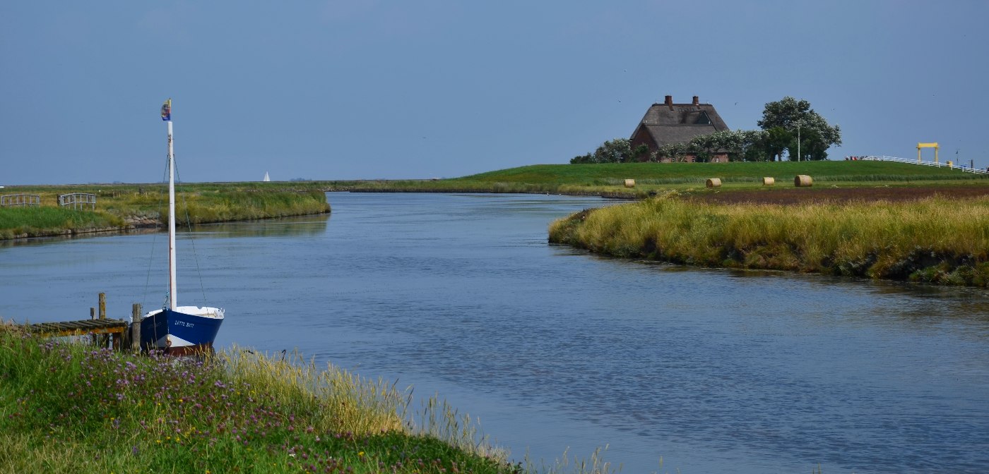 Hallig Hooge