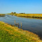 Hallig Hooge